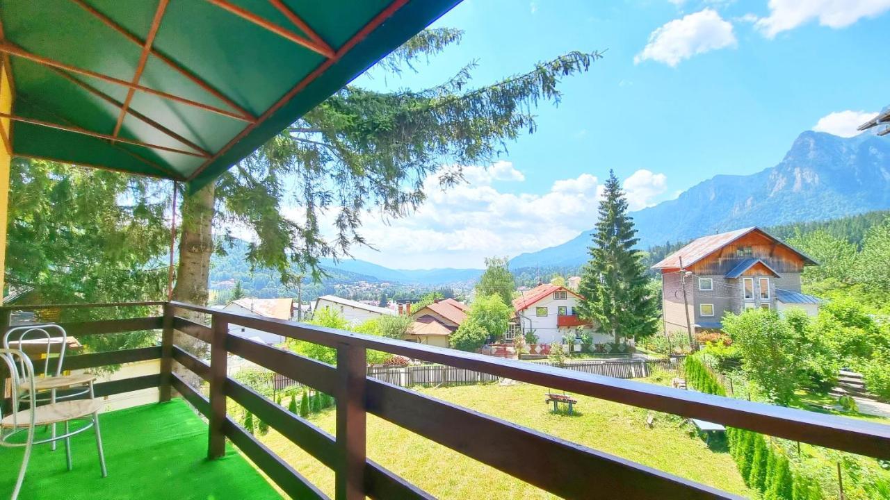 Casa Cu Brazi 3*