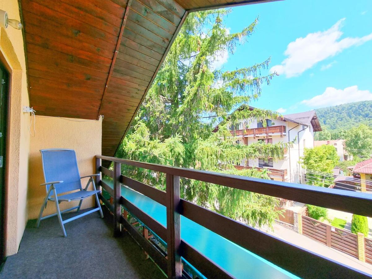 Casa Cu Brazi Pensión 3*