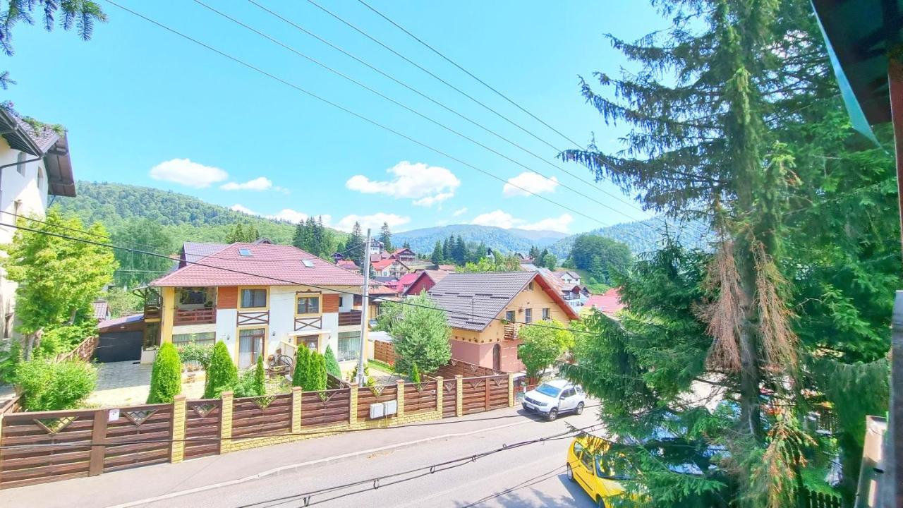 Casa Cu Brazi Buşteni